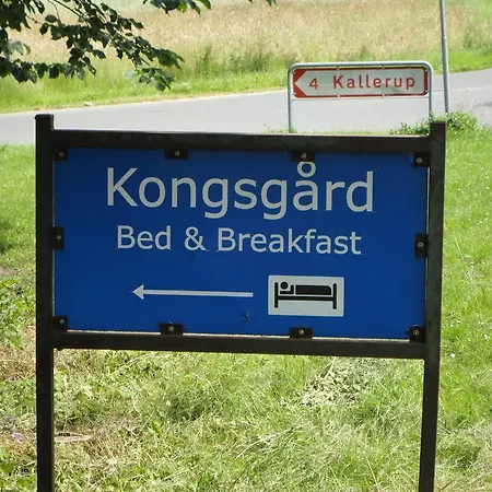 Kongsgård *
