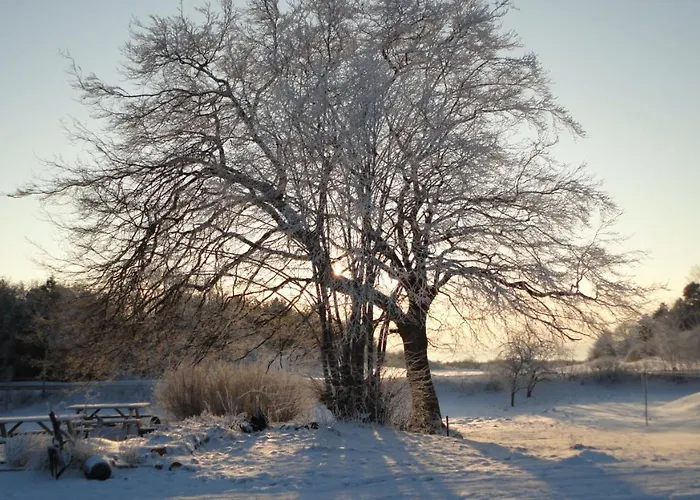 Bed & Breakfast Kongsgard Kalundborg
