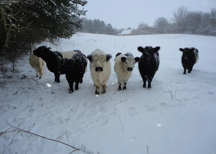 Kongsgard Bed & Breakfast Kalundborg