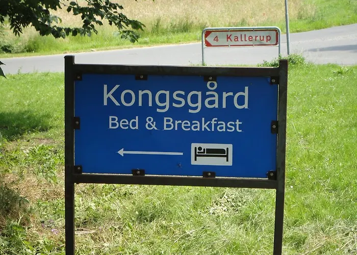 Kongsgard *