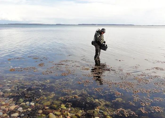 Bed & Breakfast Kongsgard Kalundborg