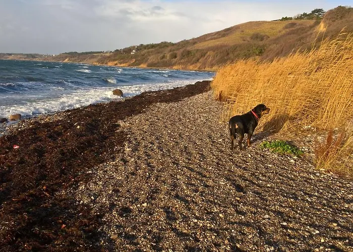 Bed & Breakfast Kongsgard *